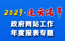 政府網站年度工作報表